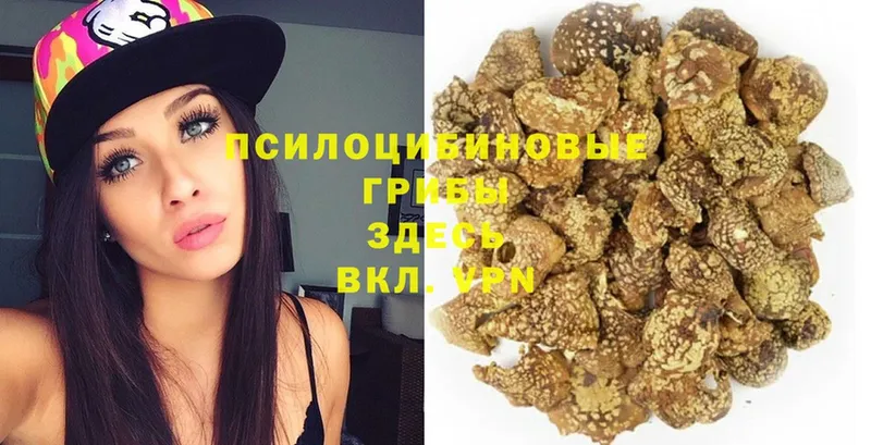 Галлюциногенные грибы MAGIC MUSHROOMS  Киржач 